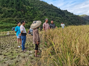 州農業(yè)農村局到我公司開展 2023年度綠色食品續(xù)展現(xiàn)場檢查工作